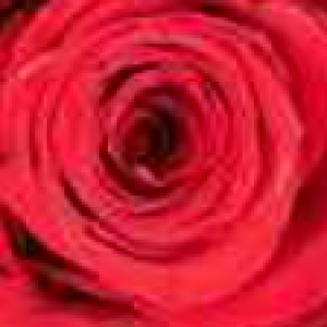 Profile photo of Trinity