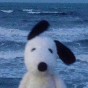 Profile photo of Melody Grace